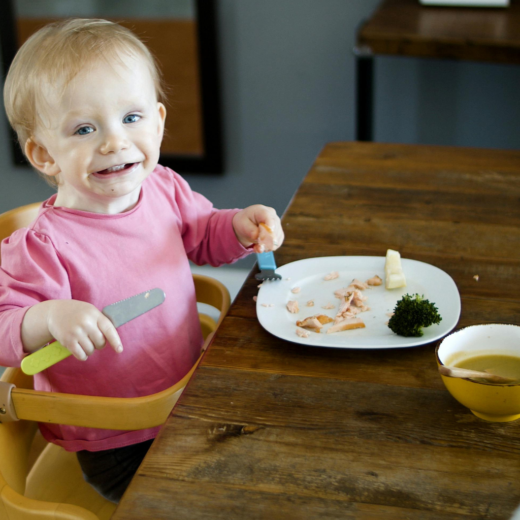 👶 BOCADITOS FELICES 2.0 – Más de 180 Recetas para Bebés de 6 Meses a 5 Años - RecetasPam